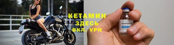 гидра Арсеньев