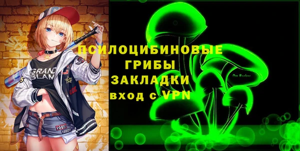 ешки Алексин