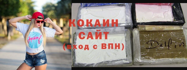 гидра Арсеньев