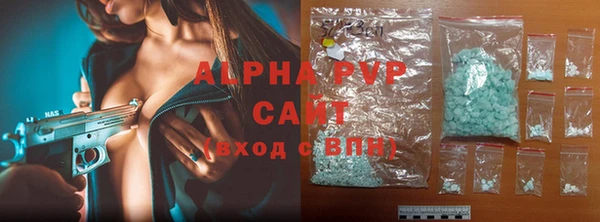 гидра Абаза