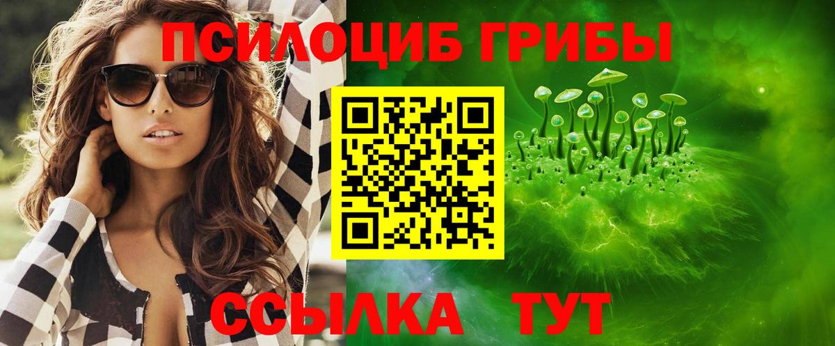 Псилоцибиновые грибы прущие грибы Старая Русса