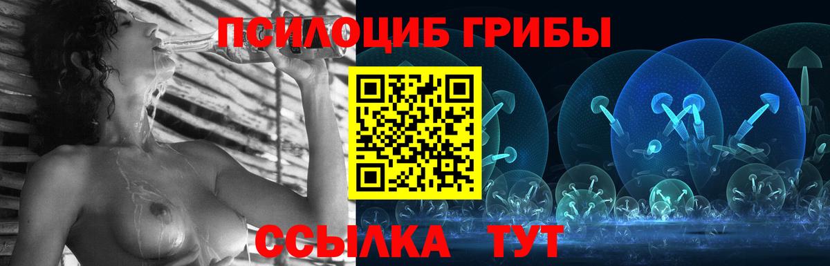 Галлюциногенные грибы Psilocybine cubensis  Галлюциногенные грибы MAGIC MUSHROOMS  наркота  Старая Русса  Вход с VPN 